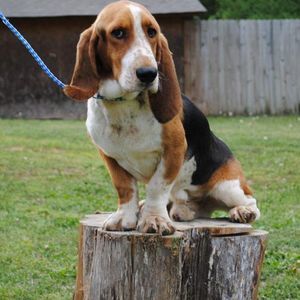 Meet your Posher, Jane